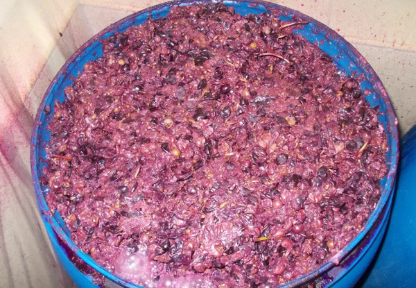Приготовление браги из винограда