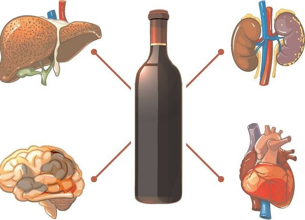 Влияние алкоголя на органы фото