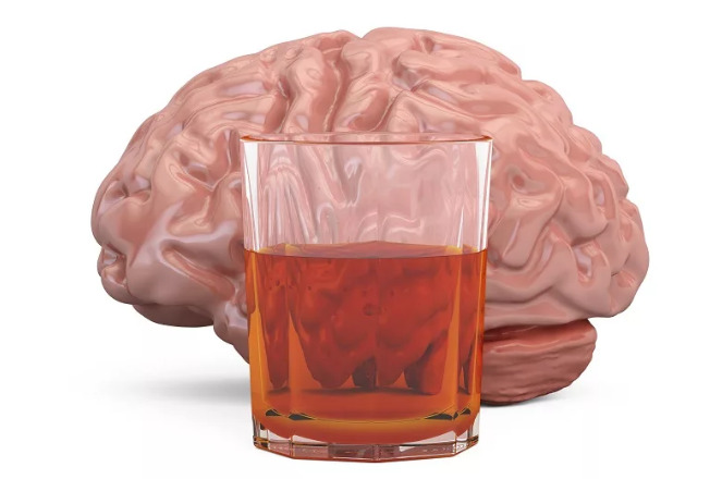 Мозг человека и стакан алкоголя