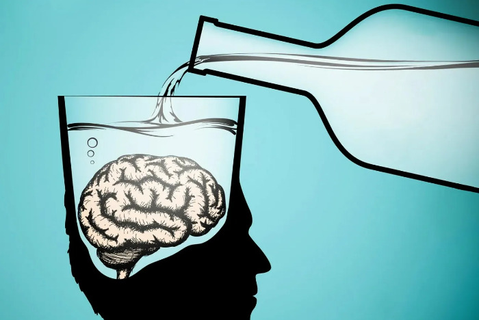 Влияние алкоголя на мозг